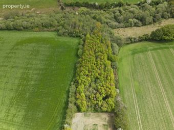 Curraghgraigue, Ballindaggin, Enniscorthy, Co. Wexford, Ballindaggan, Co. Wexford - Image 2