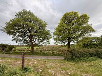 Twin Trees, Clogher Upper, Ballinlough, Co. Roscommon - Image 5