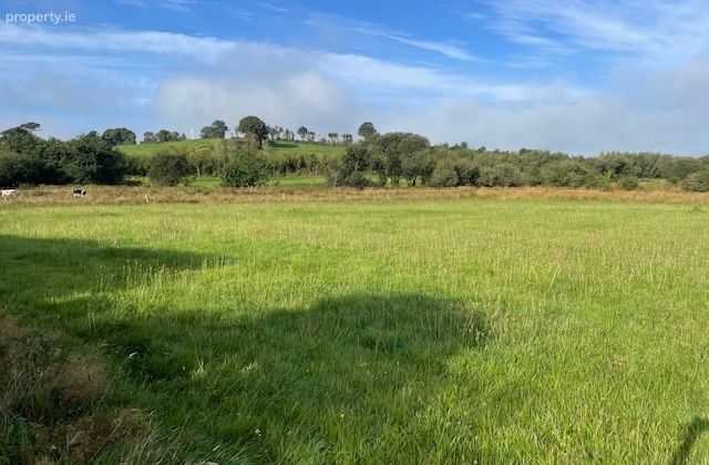 Lissarourke, Enniskeane, Co. Cork - Click to view photos