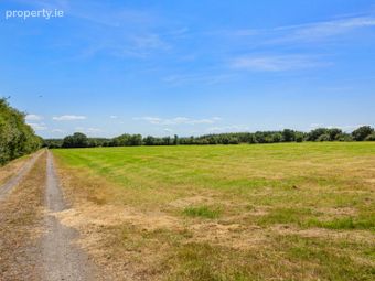 Lot 2 - Land At Newtown, Bonnettstown, Co. Kilkenny, Tullaroan, Co. Kilkenny - Image 5