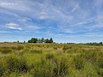 Brierfield Burke, Moylough, Ballinasloe, Co. Galway, Moylough, Co. Galway - Image 3