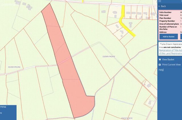 Derrymore, Ballyhaunis, Co. Mayo - Click to view photos