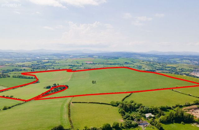 Ballyguile More, Wicklow Town, Co. Wicklow - Click to view photos