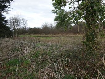Gardenham, Claregalway, Co. Galway - Image 4