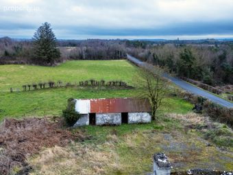Bogaderries, Birr, Co. Offaly - Image 3