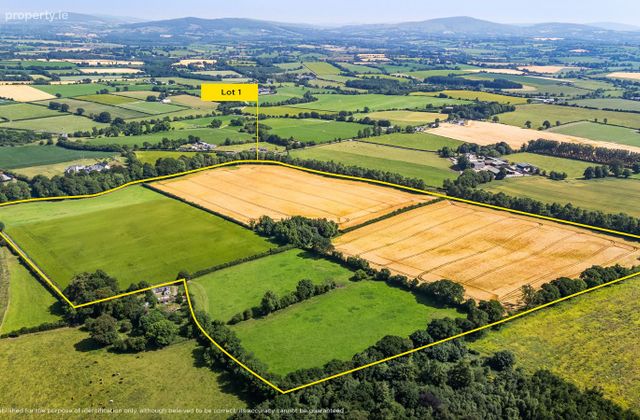 Lot 1 - South Land At Lisnavagh, Lisnavagh, Co Carlow, R93 K162, Rathvilly, Co. Carlow - Click to view photos