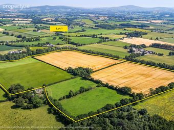 Lot 1 - South Land At Lisnavagh, Lisnavagh, Co Carlow, R93 K162, Rathvilly, Co. Carlow