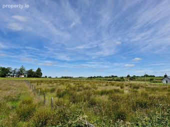 Brierfield Burke, Moylough, Ballinasloe, Co. Galway, Moylough, Co. Galway - Image 5