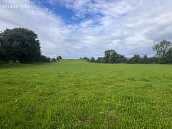 21 Acres Of Land At Poolboy, Ballinasloe, Co. Galway - Image 5