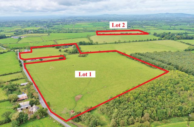 Maidstown, Dromin, Kilmallock, Co. Limerick, Dromin, Co. Limerick - Click to view photos