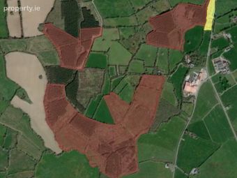 Beeverstown, Mullinahone, Co. Tipperary, Mullinahone, Co. Tipperary