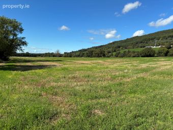 Killurney, E91 T680, Clonmel, Co. Tipperary - Image 3