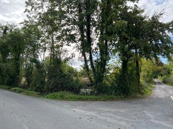 Kyle, Cuffesgrange, Co. Kilkenny - Image 4