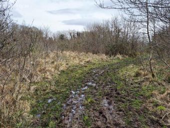 Edenville Moy Road, Kinlough, Co. Leitrim - Image 4