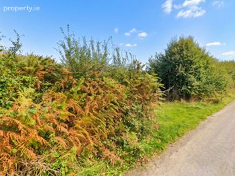 Ballincrea, Slieverue, Co. Kilkenny - Image 3