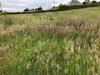 Cathaganstown, Killenaule, Co. Tipperary, Killenaule, Co. Tipperary - Image 2