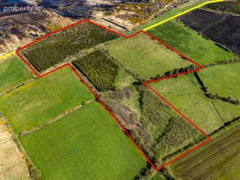 Kilmurry, Ballycommon, Tullamore, Co. Offaly, Derrygrogan, Co. Offaly - Image 3