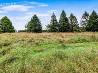 Site With F.p.p, Annyalla, Co Monaghan, Annayalla, Co. Monaghan - Image 3