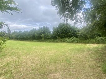 Ballinteskin (c. 0.75 Acre Site), Old Long Hill, Enniskerry, Co. Wicklow, Enniskerry, Co. Wicklow - Image 3