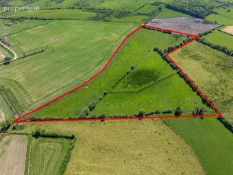 Knockanowl, Rosenallis, Co. Laois, Rosenallis, Co. Laois - Image 5