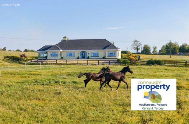Doogary, Aghamore, Ballyhaunis, Co. Mayo - Click to view photos