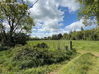 Calfstown, Carbury, Co. Kildare, Carbury, Co. Kildare - Image 2