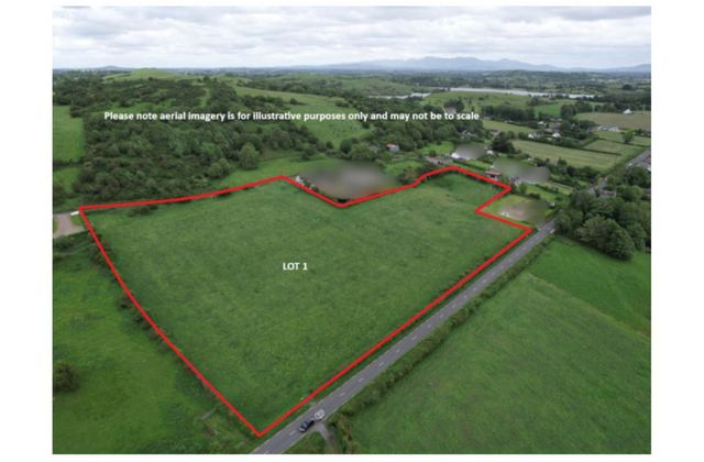 Grange, Kilmallock, Co. Limerick, Grange, Co. Limerick - Click to view photos