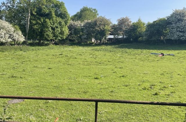 Graigueagowan, Portumna, Co. Galway - Click to view photos