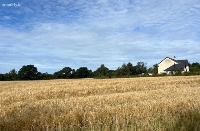 Ballyeden (c. 0.75 Acre Site), Camolin, Co. Wexford, Camolin, Co. Wexford - Click to view photos