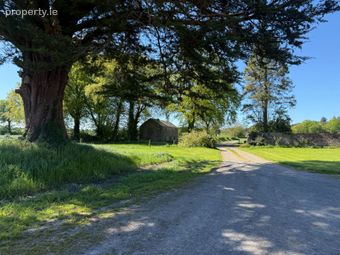 Glenstal Farm, Glenstal, Murroe, Co. Limerick - Image 3