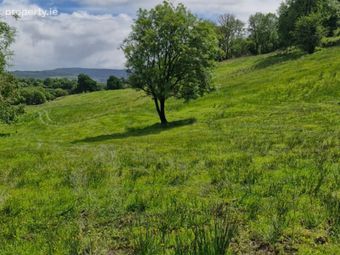 Leaghort House, Leaghort, Caher, Co. Clare, Kilclaran, Co. Clare - Image 4