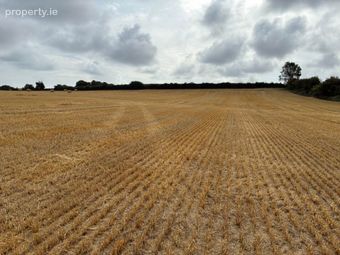 Approx. 47.8 Acres (19.33 Ha) Folkstown Lane, Balbriggan, Co. Dublin, Balrothery, Co. Dublin - Image 4