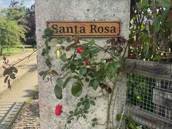 Santa Rosa, Kilsallaghan, Rolestown, Swords, Co. Dublin - Image 2