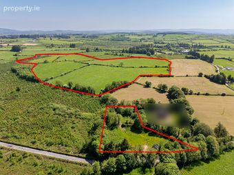 Circa 40 Acres, Touraneena, Ballinamult, Co. Waterford - Image 3