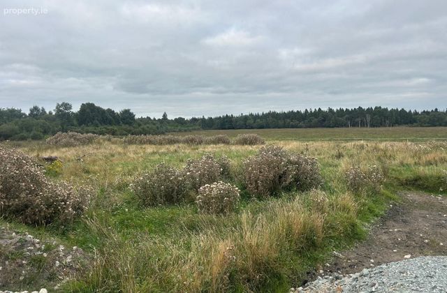 Emo Park, Corrig, Ballybrittas, Co. Laois, Emo, Co. Laois - Click to view photos