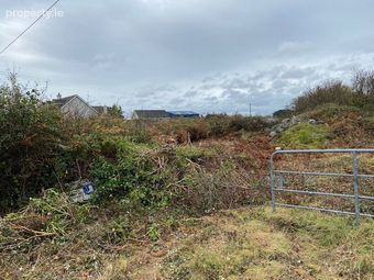 Tumnahulla, Corrandulla, Co. Galway - Image 4