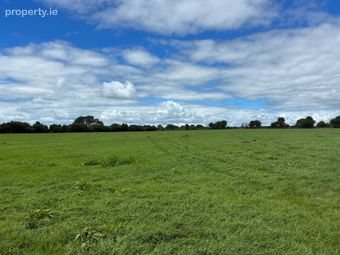 Kilmog, Kells Road, Kilkenny, Cuffesgrange, Co. Kilkenny - Image 4