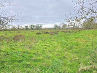 Lisgub, Ballinasloe, Co. Galway - Image 4