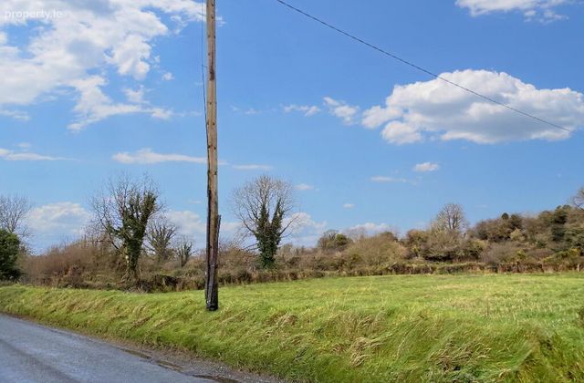 Sorrell, Ballyhea, Charleville, Co. Cork, Charleville, Co. Cork - Click to view photos