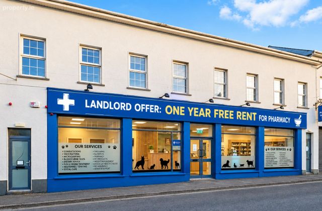 Park Lane, Portarlington, Co. Laois, Portarlington, Co. Laois - Click to view photos