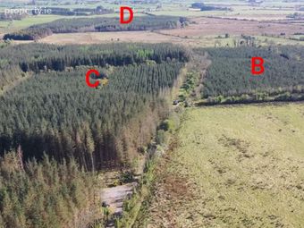 Ballyvoneen, Ballymacward, Co. Galway - Image 5
