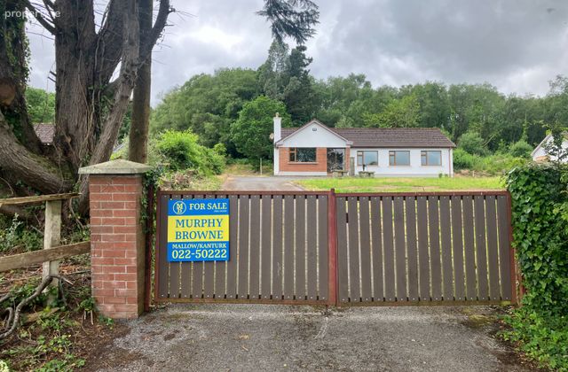 Wood Road, Dromore, Dromahane, Dromahane, Co. Cork - Click to view photos