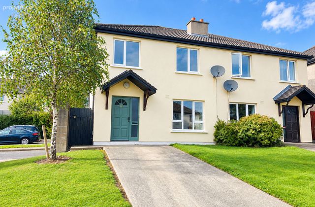 50 Shing&aacute;n, Milehouse Road, Enniscorthy, Co. Wexford - Click to view photos