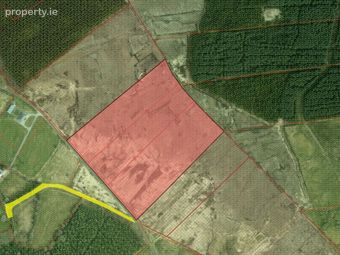 Lands Cloongoonagh, Ballyhaunis, Co. Mayo - Image 2