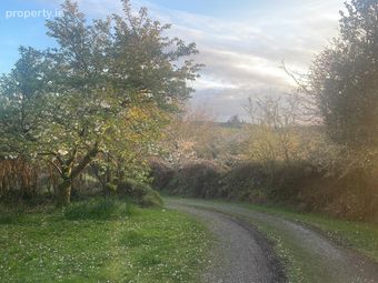 Lissangle, Caheragh, Drimoleague, Co. Cork, Caheragh, Co. Cork