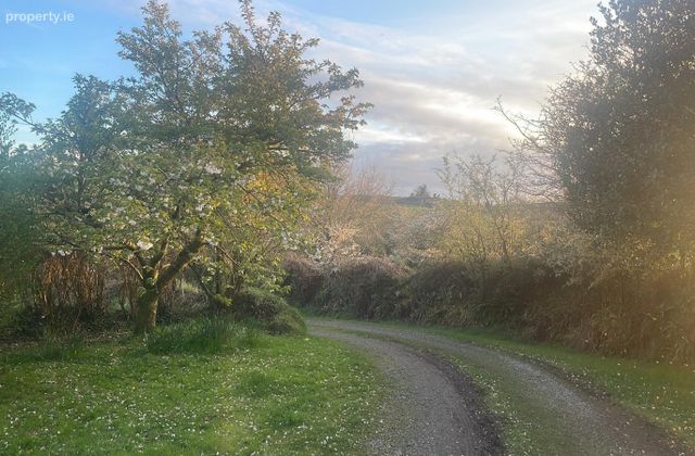 Caheragh, Co. Cork, Caheragh, Co. Cork - Click to view photos