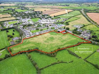 9 Acres Development Land, Two Mile Borris, Thurles, Co. Tipperary, Twomileborris, Co. Tipperary