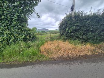 Coolnaleen, Camolin, Enniscorthy, Co. Wexford, Ballyduff, Co. Wexford - Image 3