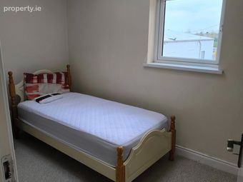 Brendan Loughnane Music, Brackernagh, Ballinasloe, Ballinasloe, Co. Galway - Image 5