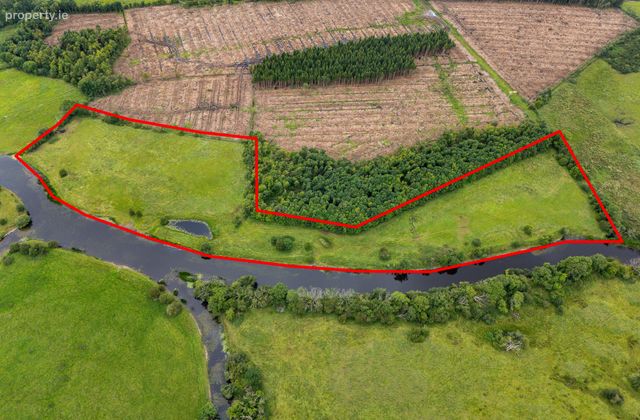 Land At Ballyeighter, Ballinasloe, Co. Galway - Click to view photos